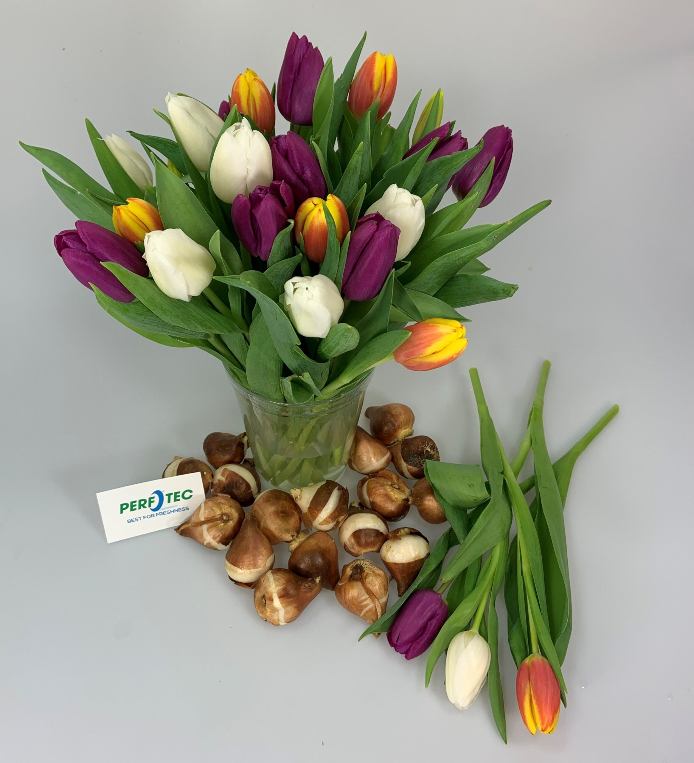 Tulpen modified-atmosphere-packaging
