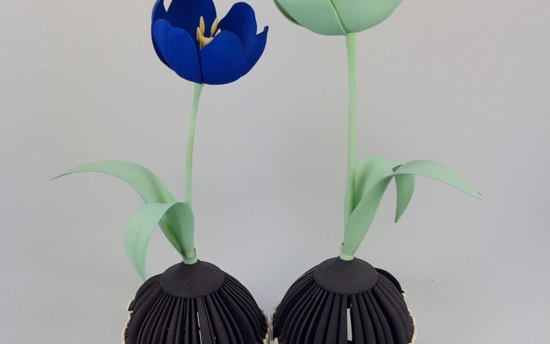 modified-atmosphere-packaging