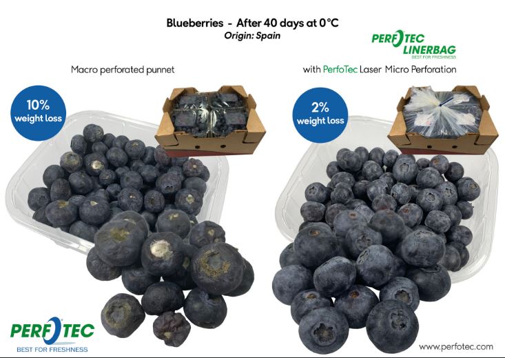 blueberries